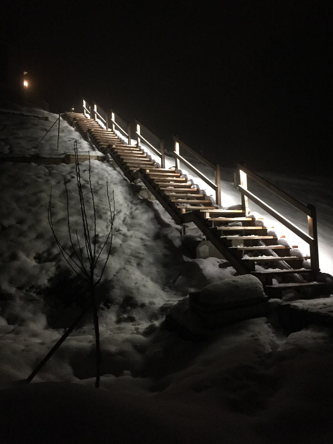 Travauxsurbois Amenagement exterieur escalier au jardin 1